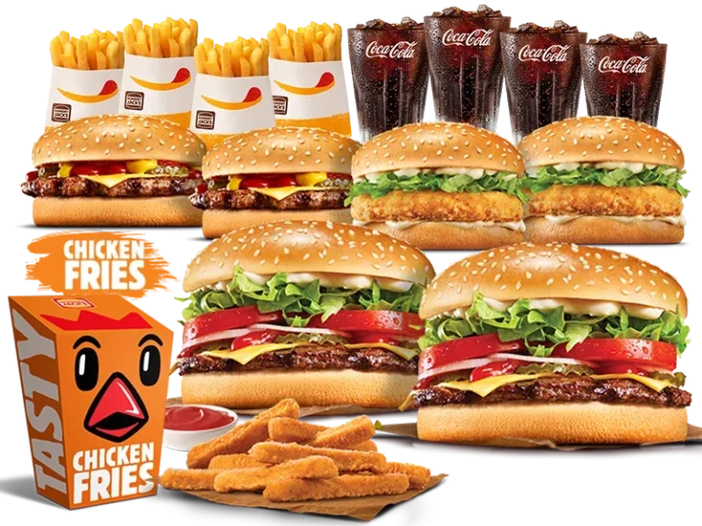 CHICKEN FRIES MEGA FEAST